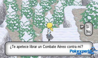 Gua Pokmon XY