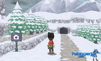 Gua Pokmon XY