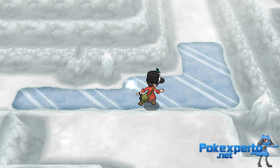 Gua Pokmon XY