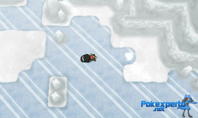 Gua Pokmon XY