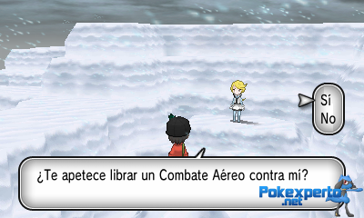Gua Pokmon XY