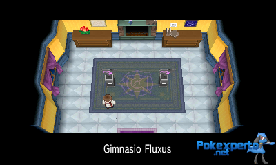 Gua Pokmon XY
