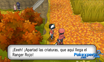 Gua Pokmon XY