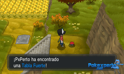 Gua Pokmon XY