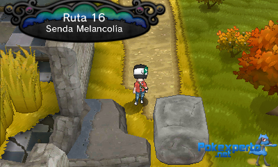 Gua Pokmon XY