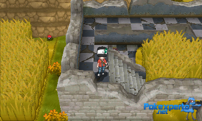 Gua Pokmon XY