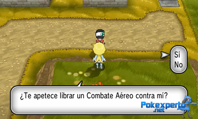 Gua Pokmon XY