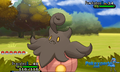Gua Pokmon XY