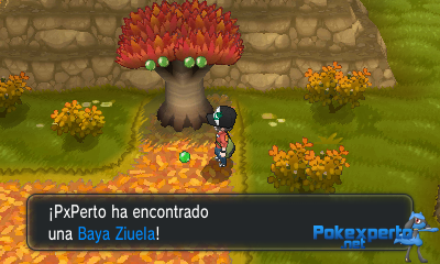Gua Pokmon XY
