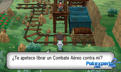 Gua Pokmon XY