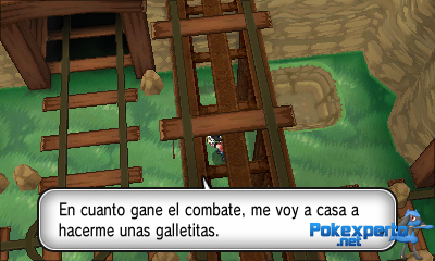 Gua Pokmon XY