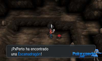 Gua Pokmon XY