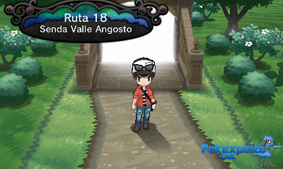 Gua Pokmon XY