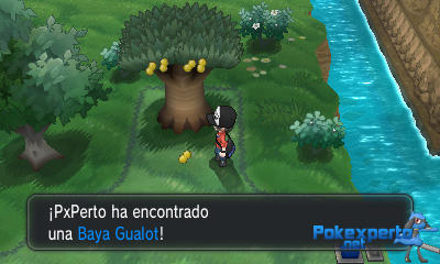 Gua Pokmon XY