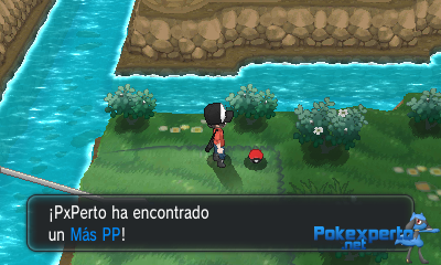 Gua Pokmon XY