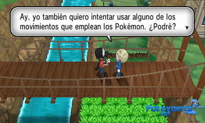 Gua Pokmon XY