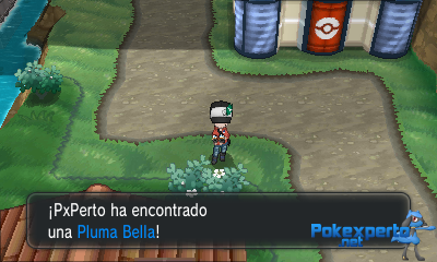 Gua Pokmon XY