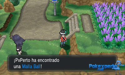 Gua Pokmon XY