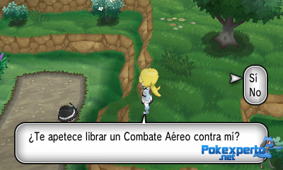 Gua Pokmon XY