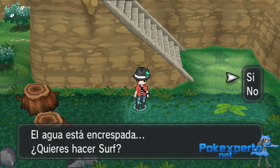 Gua Pokmon XY