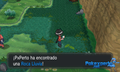 Gua Pokmon XY