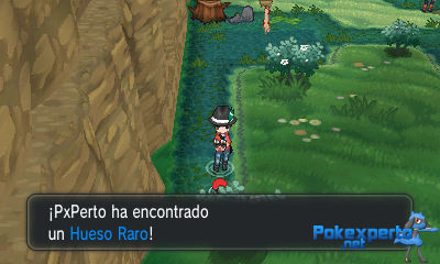 Gua Pokmon XY
