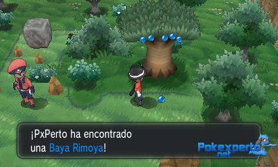 Gua Pokmon XY