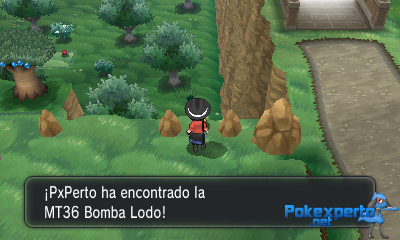 Gua Pokmon XY