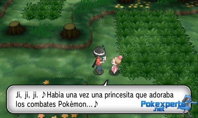 Gua Pokmon XY