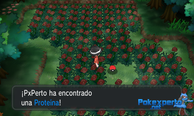 Gua Pokmon XY