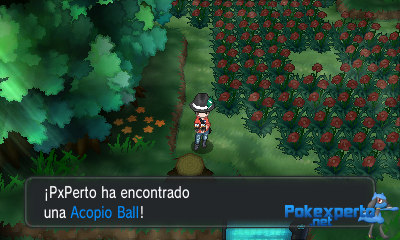 Gua Pokmon XY