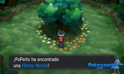 Gua Pokmon XY