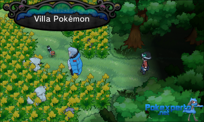 Gua Pokmon XY
