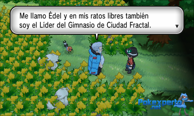 Gua Pokmon XY