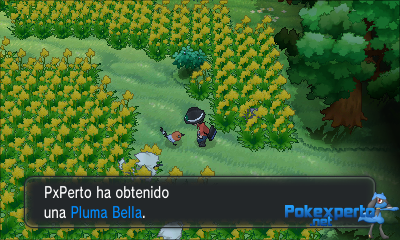 Gua Pokmon XY