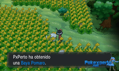 Gua Pokmon XY