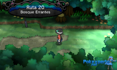 Gua Pokmon XY