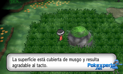 Gua Pokmon XY