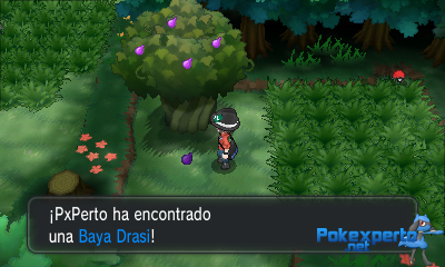 Gua Pokmon XY
