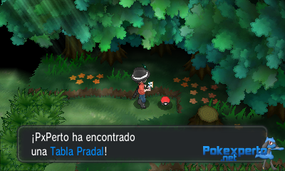 Gua Pokmon XY