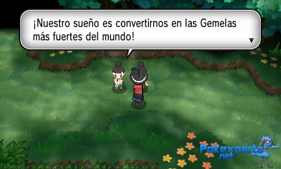 Gua Pokmon XY