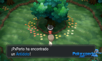 Gua Pokmon XY