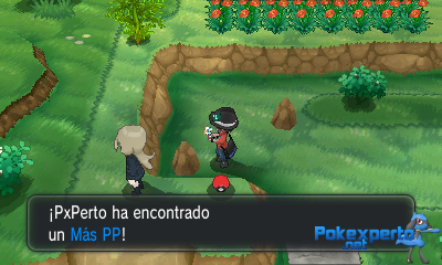 Gua Pokmon XY