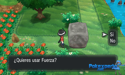 Gua Pokmon XY