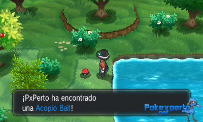 Gua Pokmon XY