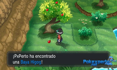Gua Pokmon XY
