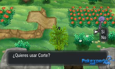 Gua Pokmon XY