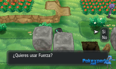 Gua Pokmon XY
