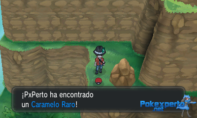 Gua Pokmon XY