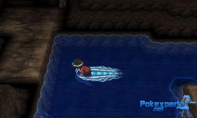 Gua Pokmon XY